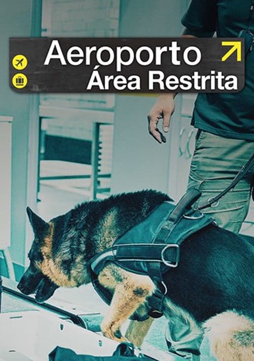 Airport Brazil: Restricted Areas Season 2 poster