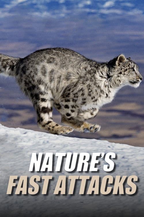 Nature's Fast Attacks Season 1 poster