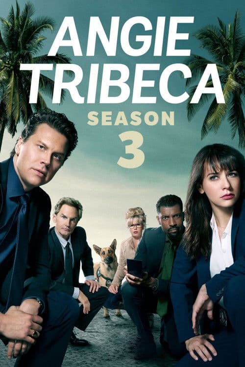 Angie Tribeca Season 3 poster