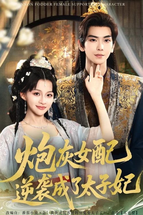炮灰女配逆袭成了太子妃 Season 1 poster