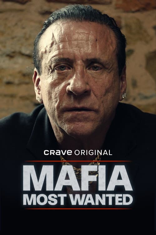 Mafia: Most Wanted Season 1 poster