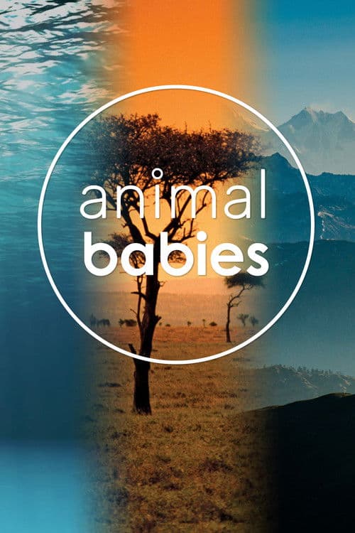 Animal Babies Miniseries poster