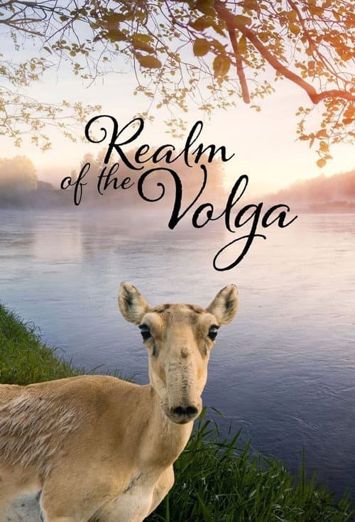Realm of the Volga Season 1 poster