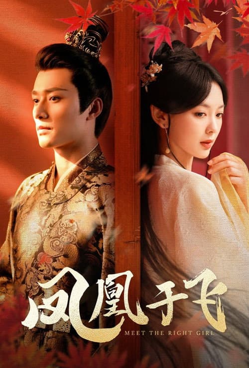 凤凰于飞 Season 1 poster