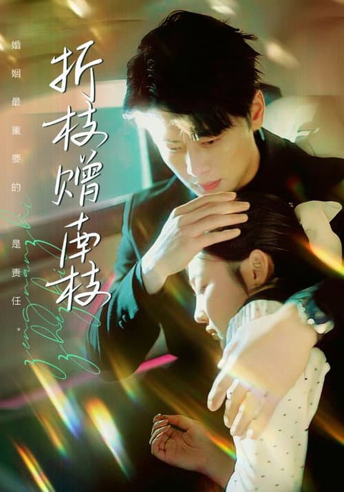 折枝赠南枝 Season 1 poster