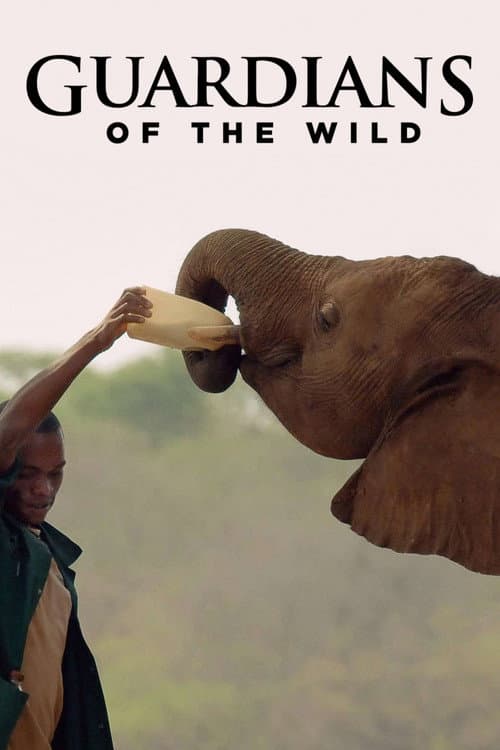 Guardians of the Wild Season 1 poster