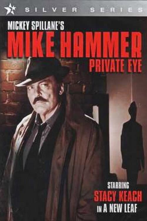Mike Hammer, Private Eye Season 1 poster