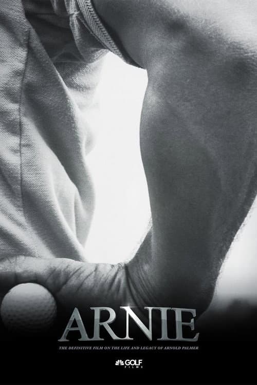 Arnie Season 1 poster