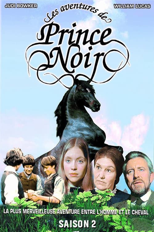 The Adventures of Black Beauty Series 2 poster