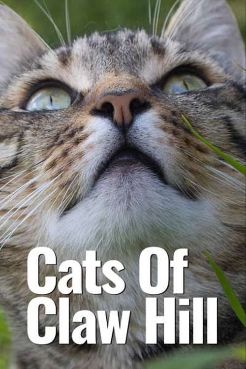 Cats of Claw Hill Season 1 poster