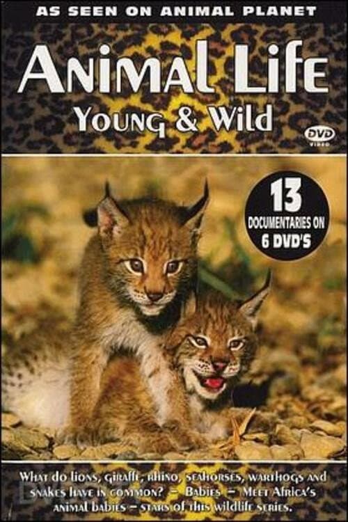 Animal Life: Young & Wild Season 1 poster