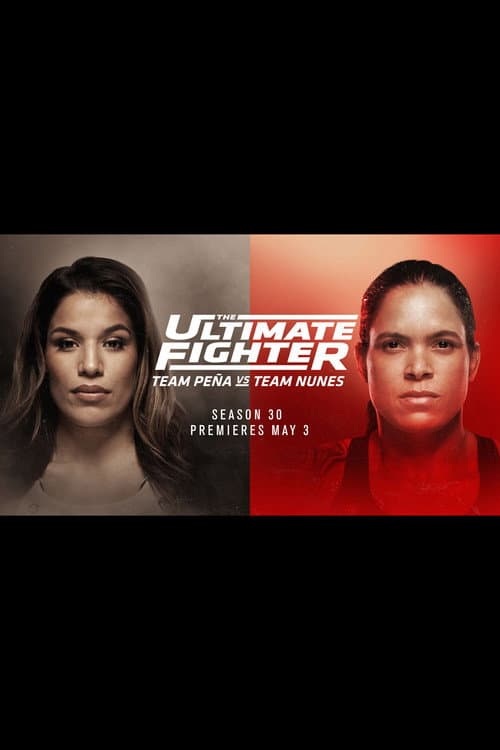 The Ultimate Fighter Peña vs Nunes poster