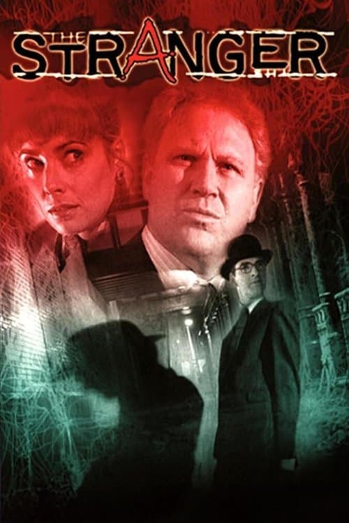 The Stranger Season 2 poster