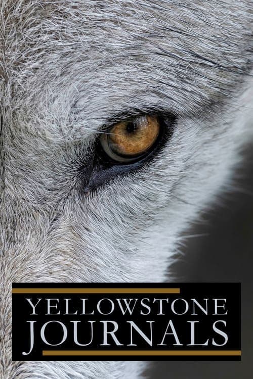 Yellowstone Journals Season 1 poster