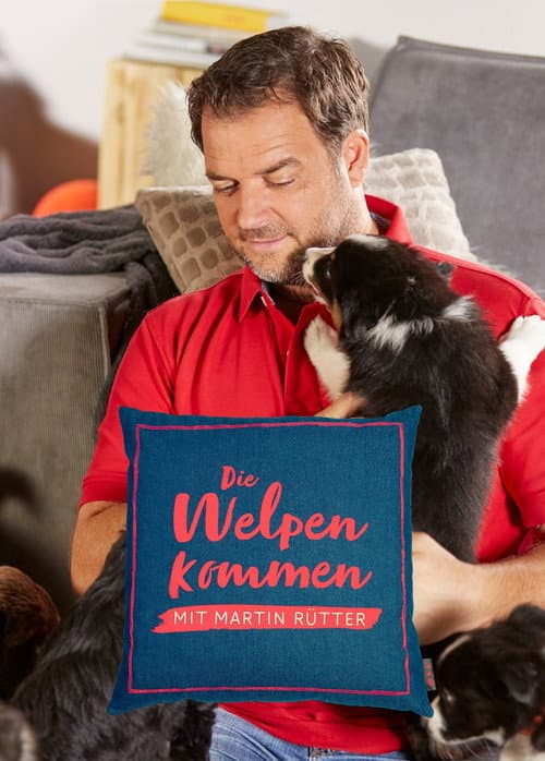 Martin Rütter - Die Welpen kommen Season 2 poster