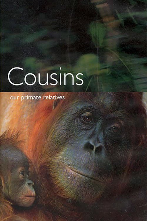 Cousins Season 1 poster