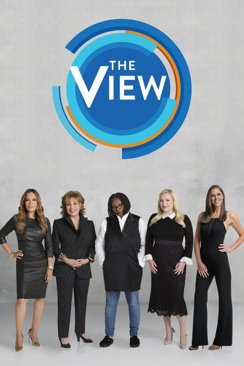The View Season 22 poster