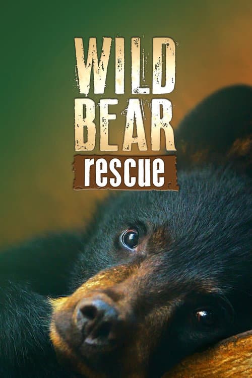 Wild Bear Rescue Season 1 poster