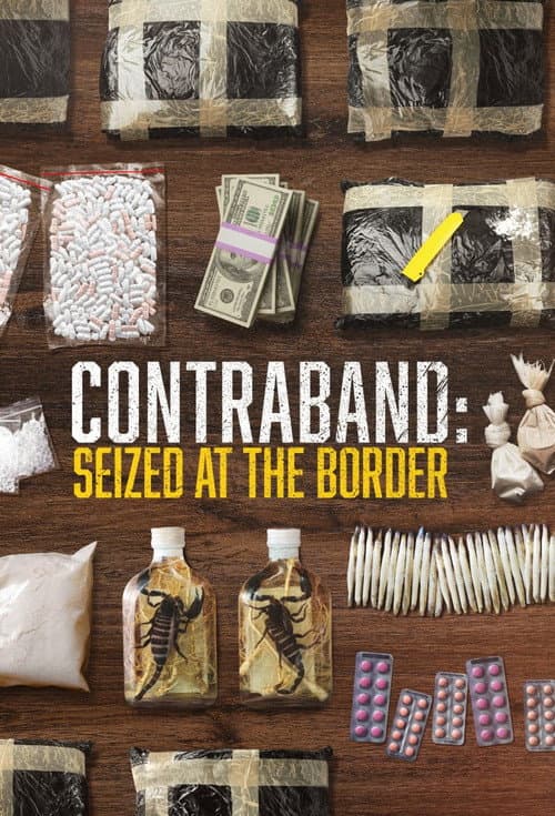 Contraband: Seized at the Border Season 2 poster