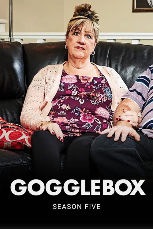 Gogglebox Series 5 poster