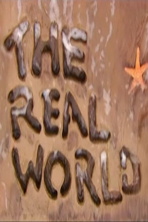 The Real World San Diego poster