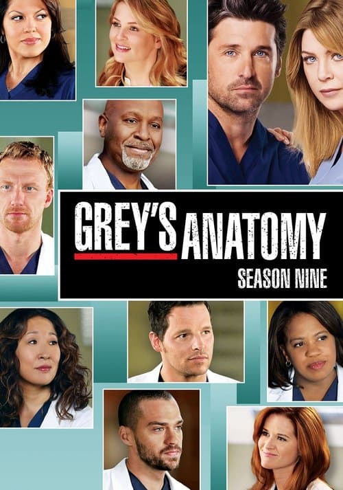 Grey's Anatomy Season 9 poster