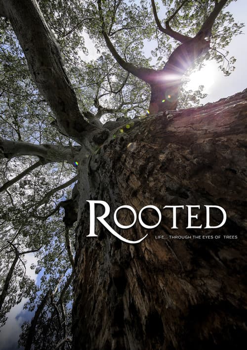 Rooted Rooted in Africa poster