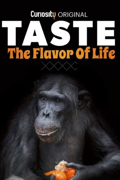 Taste: The Flavor of Life Season 1 poster