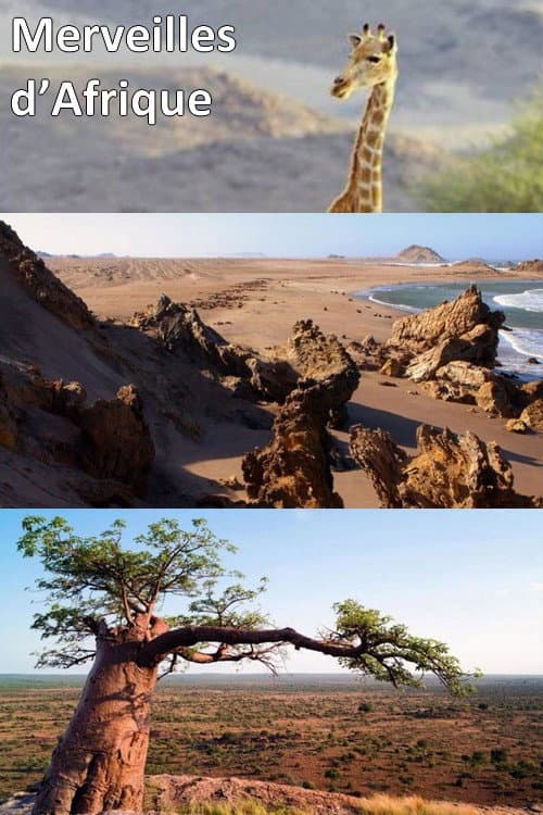 Massive Africa Season 1 poster