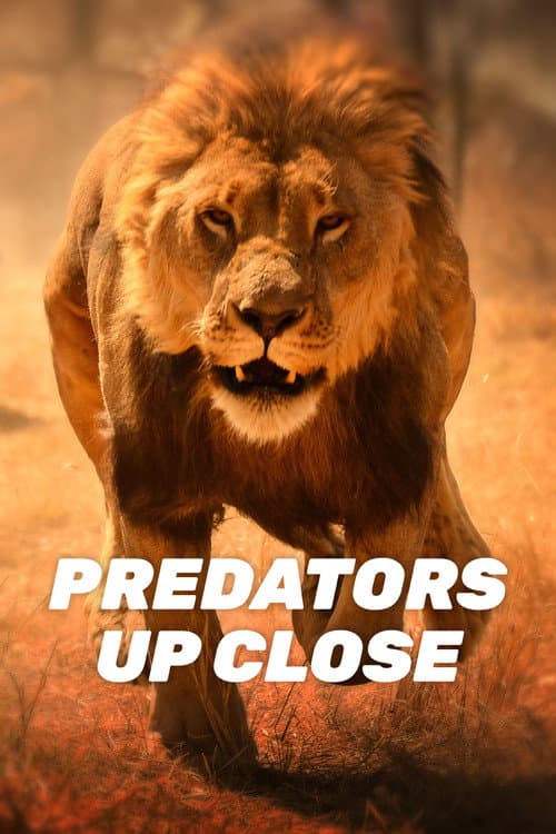 Predators Up Close with Joel Lambert Season 1 poster