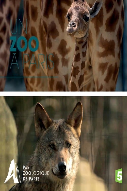 Paris Zoo: An Insider's View Season 2 poster