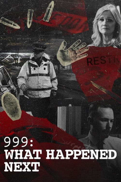 999: What Happened Next Series 1 poster