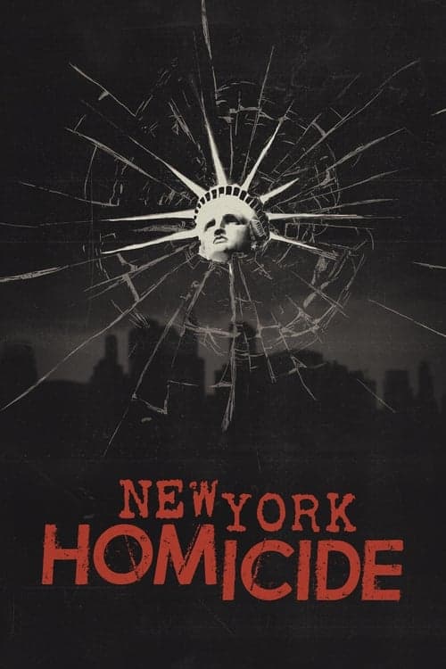 New York Homicide Season 3 poster