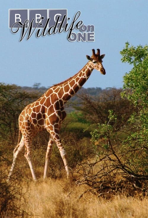 Wildlife on One Season 2 poster