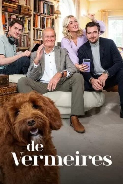 De Vermeires Season 1 poster