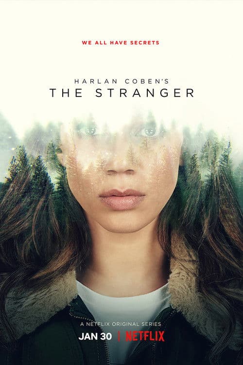 The Stranger Limited Series poster