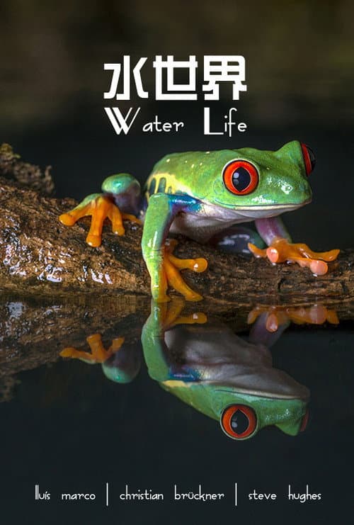 Water Life A World of Water Season 1 poster