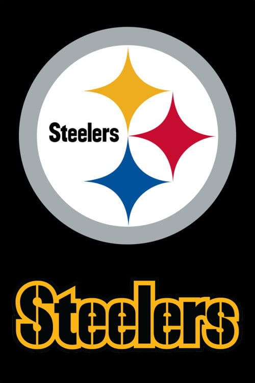 Pittsburgh Steelers 2016 poster