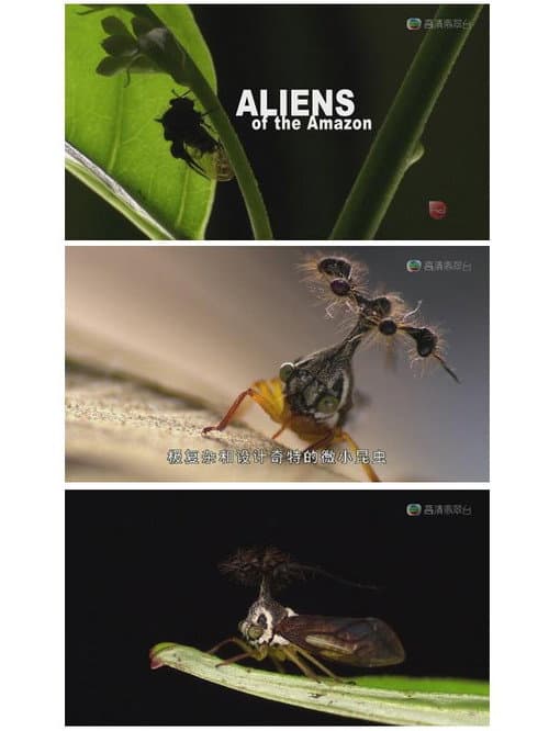 Aliens of the Amazon Season 1 poster
