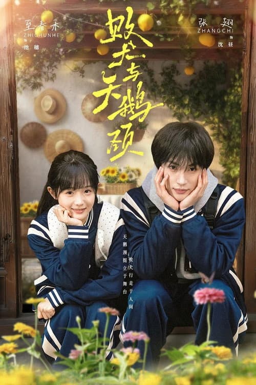 败犬与天鹅颈 Season 1 poster