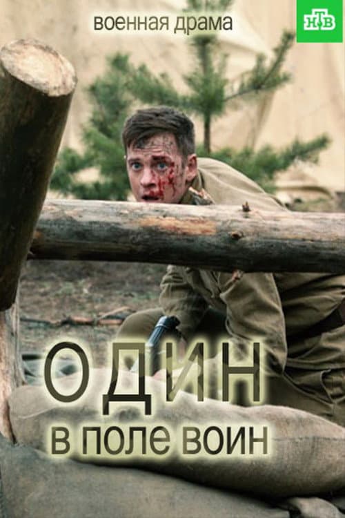 Один в поле воин Season 1 poster