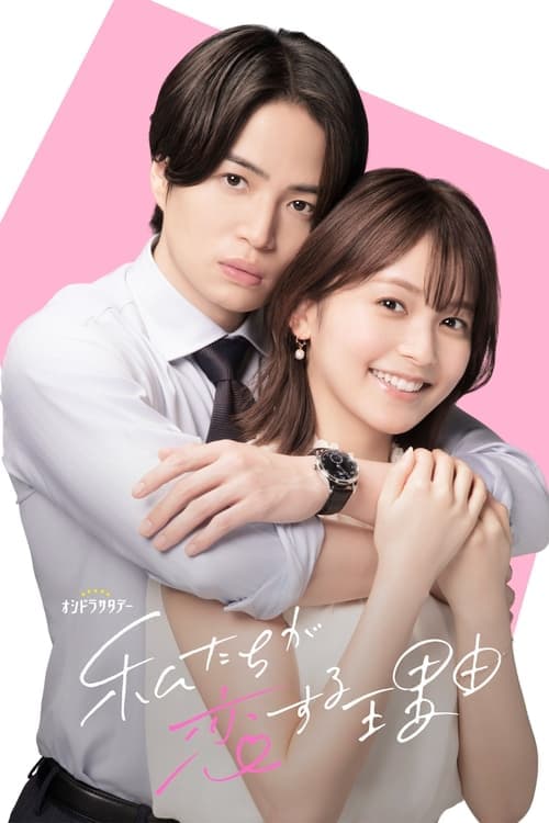 The Reason We Fall In Love Season 1 poster