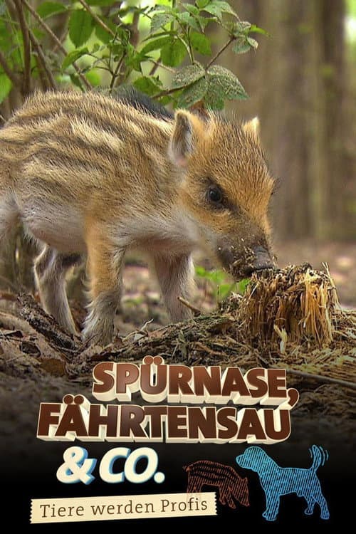 Spürnase, Fährtensau & Co. Season 1 poster