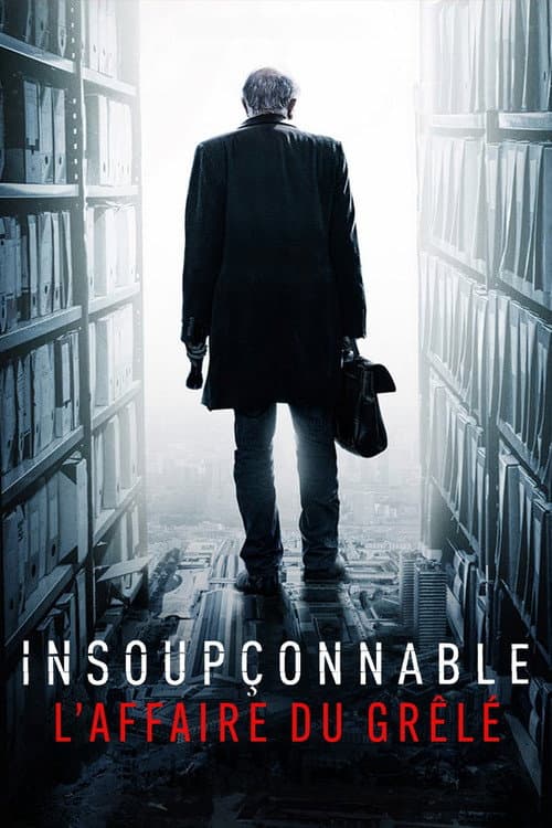Insoupçonnable, l'affaire du Grêlé Season 1 poster