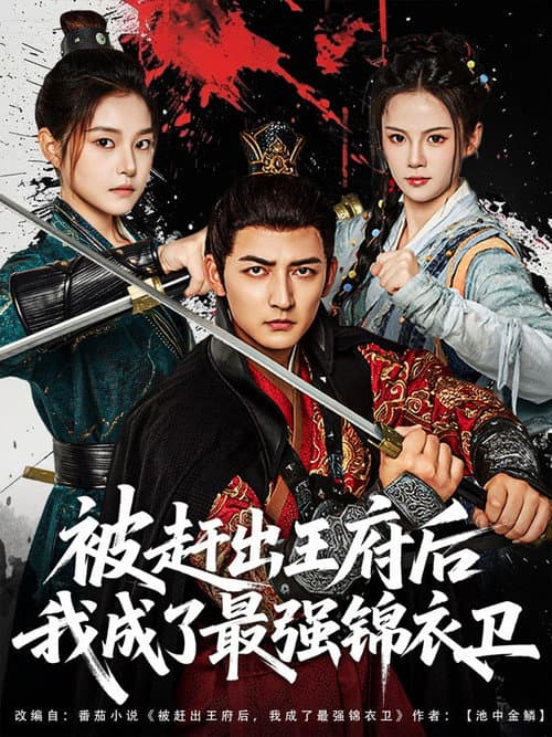 被赶出王府后我成了最强锦衣卫 Season 1 poster