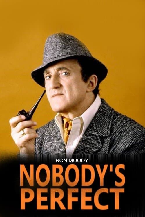 Nobody's Perfect Season 1 poster