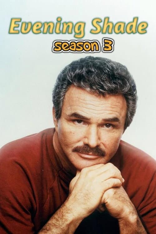 Evening Shade Season 3 poster