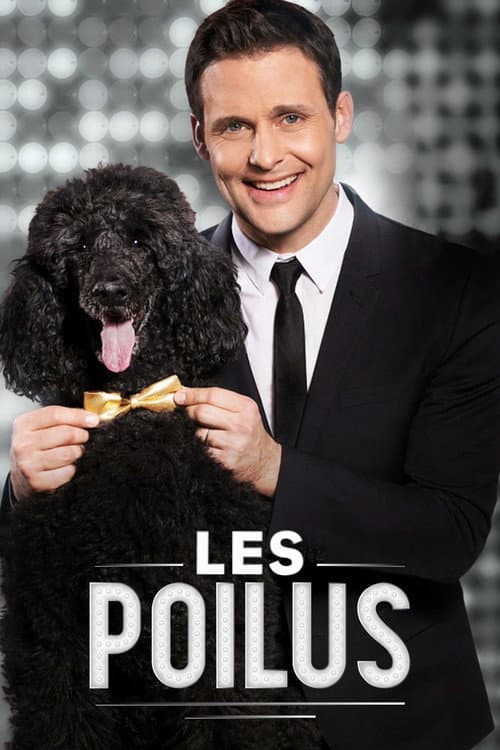 Les poilus Season 2 poster