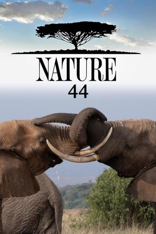 Nature Season 44 poster