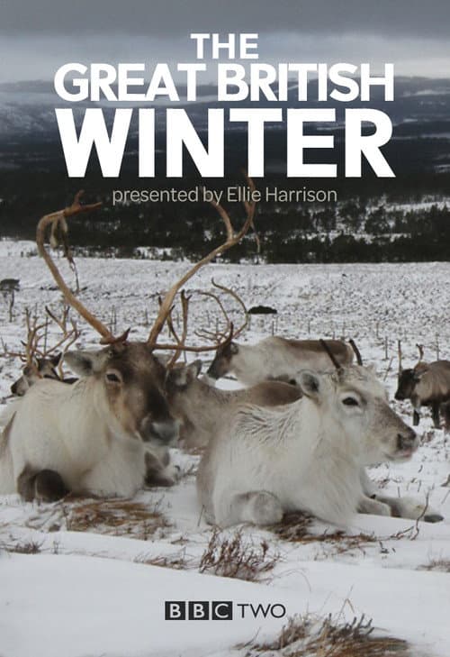 The Great British Winter Season 1 poster